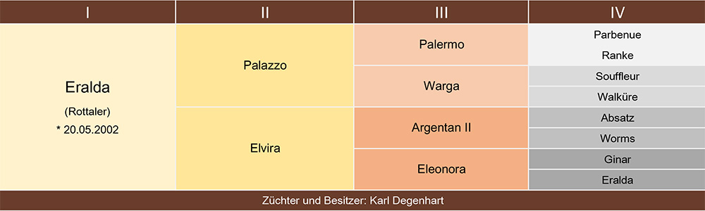 Eralda Ahnentafel web